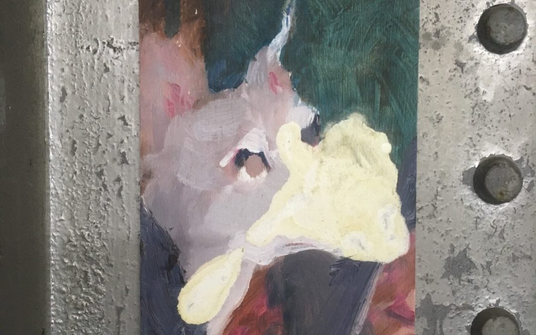 Nervous Dog